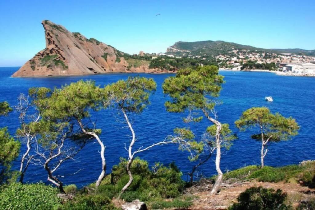 L'Oree De La Plage: Appt. Tout Confort 4/6 Pers. 400 M De La Plage Λα Σιοτά Εξωτερικό φωτογραφία